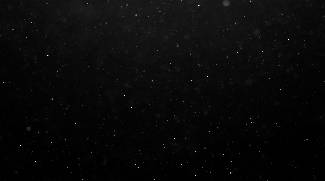 Studio Srabon Showreel 2026 Preview
